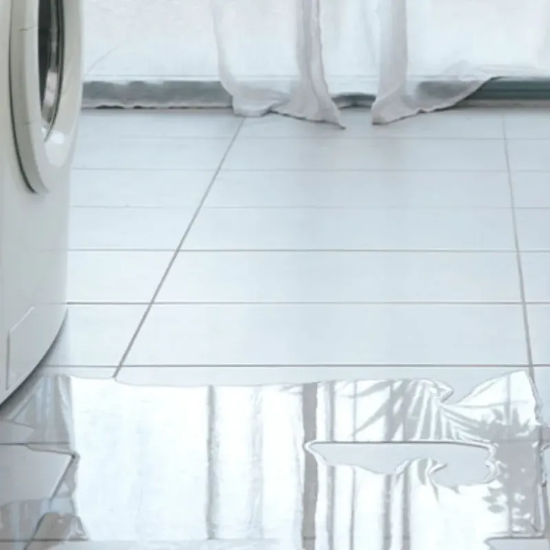 Appliance Leak Cleanup in Wildwood, FL