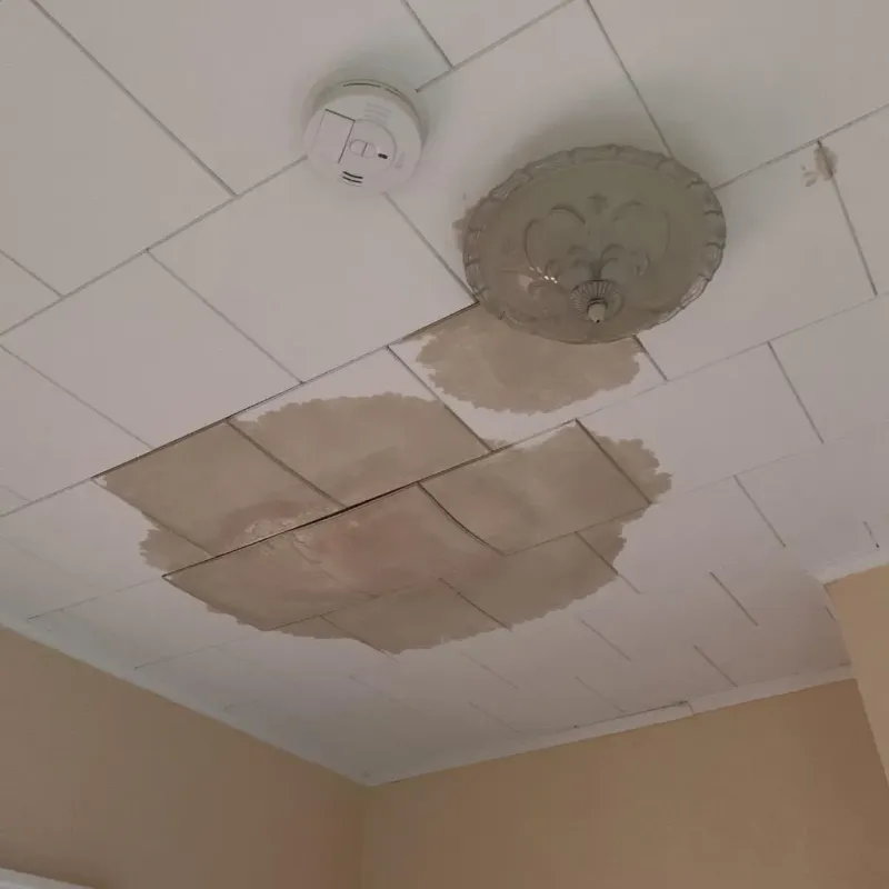 Ceiling Water Damage Repair in Wildwood, FL
