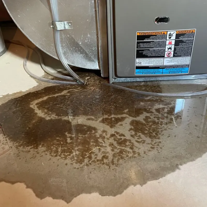 Pipe Burst and Leak Restoration in Wildwood, FL