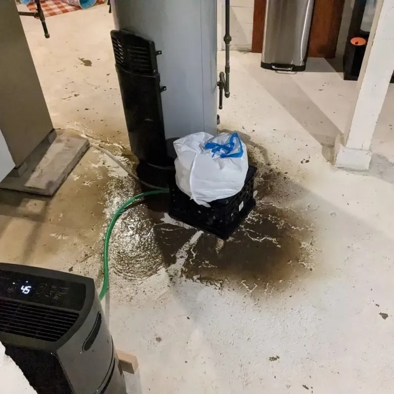 Sewage Backup Cleanup Service in Wildwood, FL